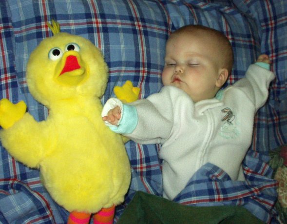 When I took this picture..the flash made big bird say.."Peek a Boo"! It's enough to scare a person :)
