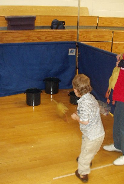 Ok, this chicken looks like it is running. Maybe they gave Elijah a live one!!