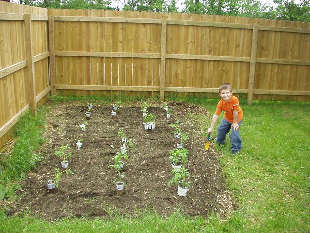 Daddy has all of the plants spaced out so that I can start digging :)