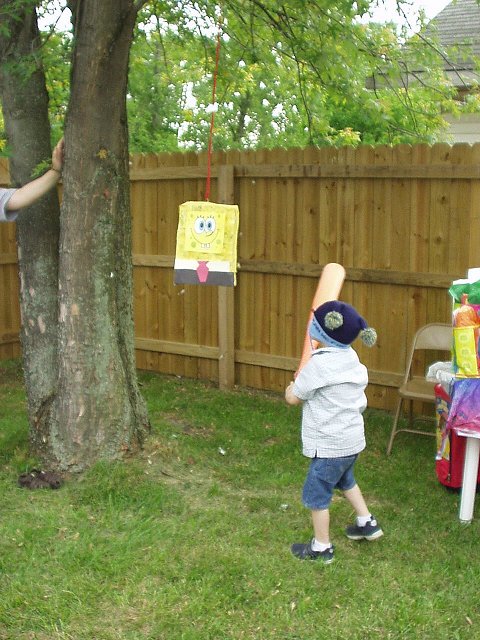 SpongeBob didn't have a chance!