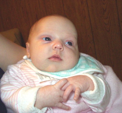 The itsy bitsy spider....