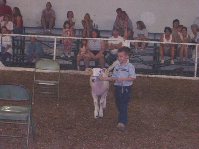 Timothy is walking Spot in front of the judges.