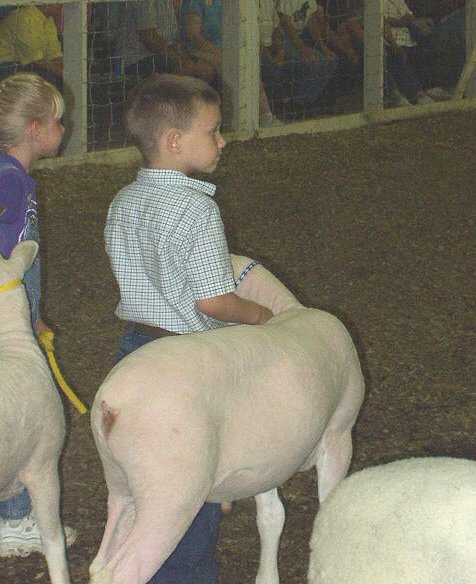 Timothy is waiting to see what ribbon he is going to get!