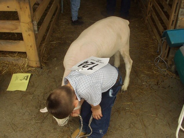 Timothy is talking to Spot before the show.