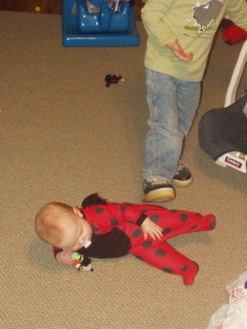 Elijah likes to step on ladybugs!