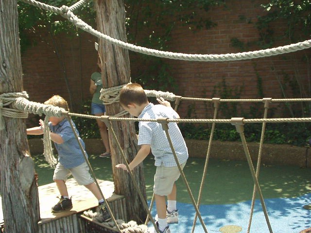Timothy and Elijah are playing on the rope bridge.