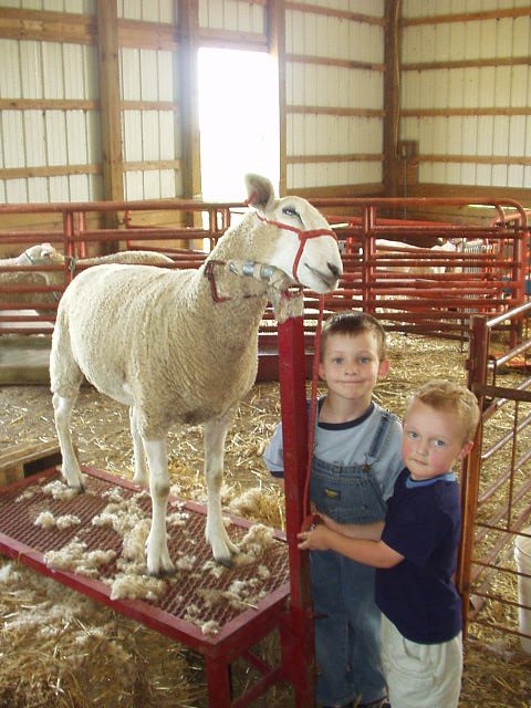 Ewe need to smile Elijah!! (har har)