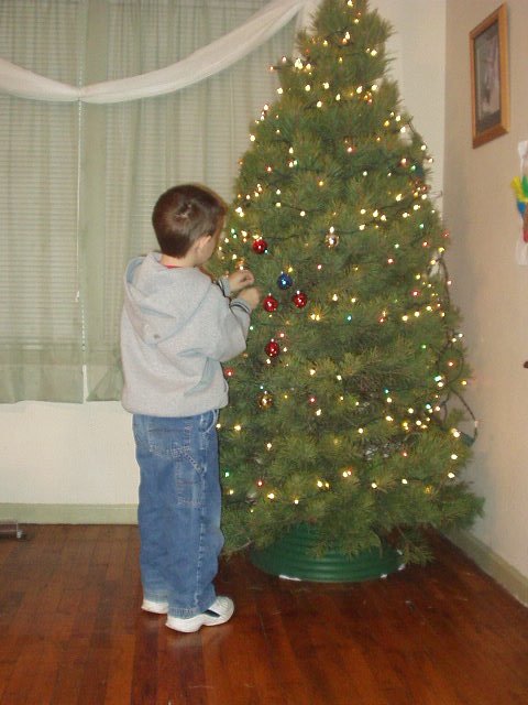 Timothy is helping decorate the Christmas tree.