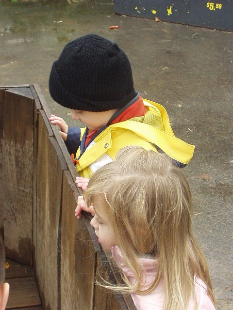 Where'd all the pumpkins go??