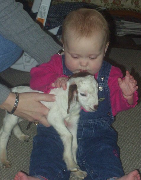 Mamaw is helping Abigail hold Daisy :)