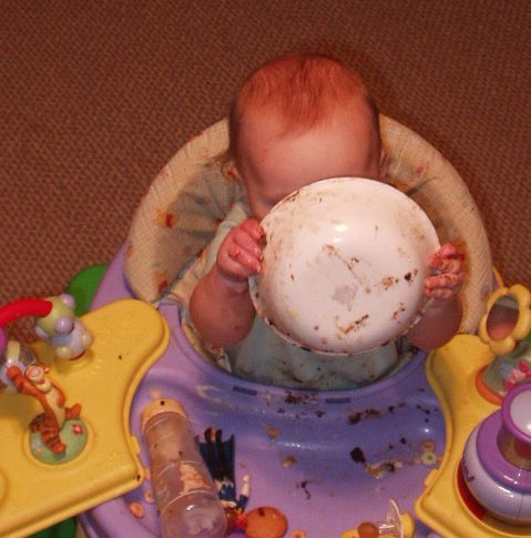 It's gone...it's all gone :(