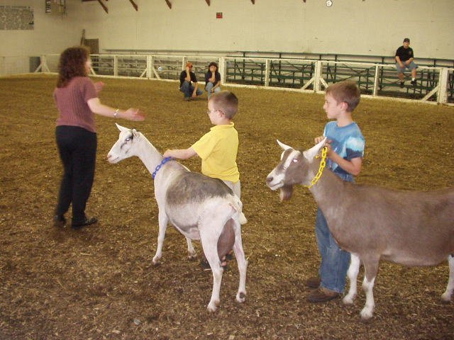 Bev judges goats all over the United States. She praised Timothy with being so honest :) hehe  (and a good showman!)