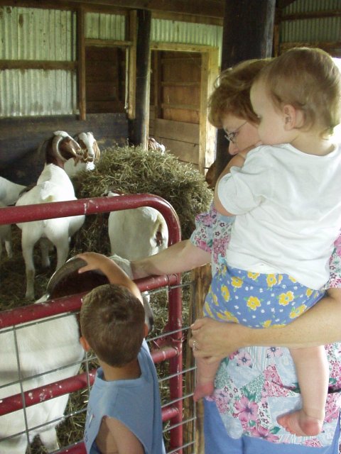 This is a nice mommy goat Mamaw.
