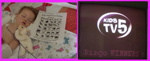 While Mary was in the hospital...she won BINGO!!! (the little lamb is her prize)