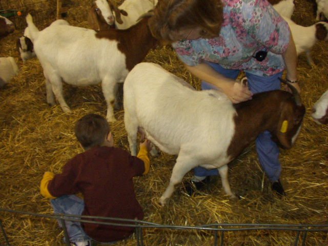 Make sure to check the fluids yourself!!!