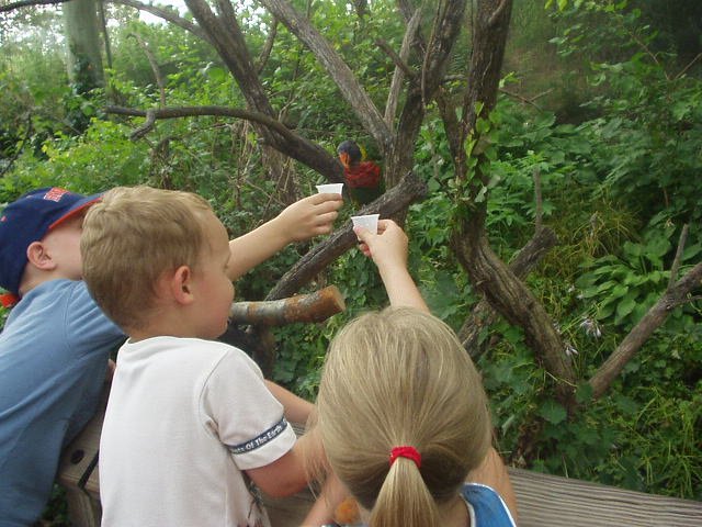 Elijah was trying to catch one! He has become a brave little thing!!