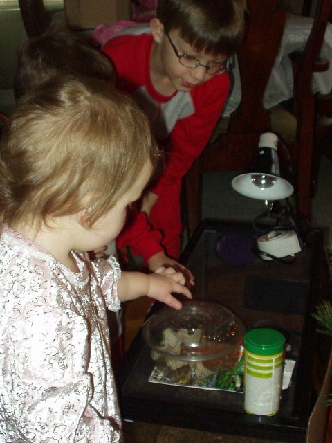 Are these for me to eat???