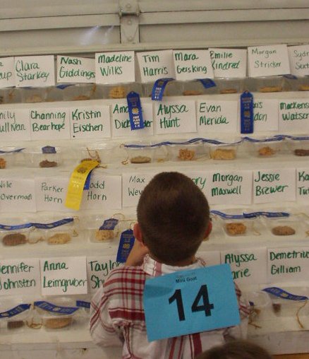 Timothy is checking out his ribbon for the no-bake cookies he made.