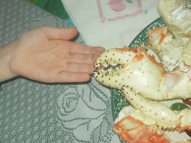 Look at the size of those claws!!