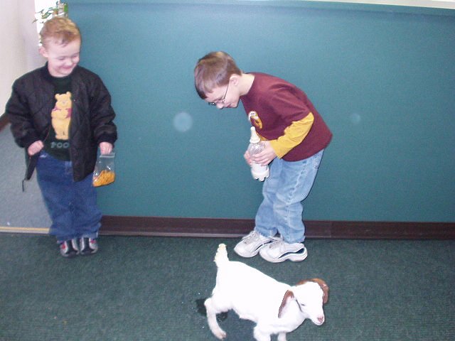 It doesn't take much to entertain these boys!!