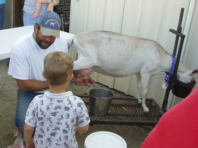 Ok Elijah..sit on the bucket and grab on :) 
