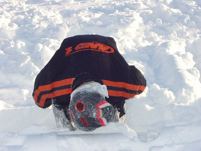 This snow is good!!!