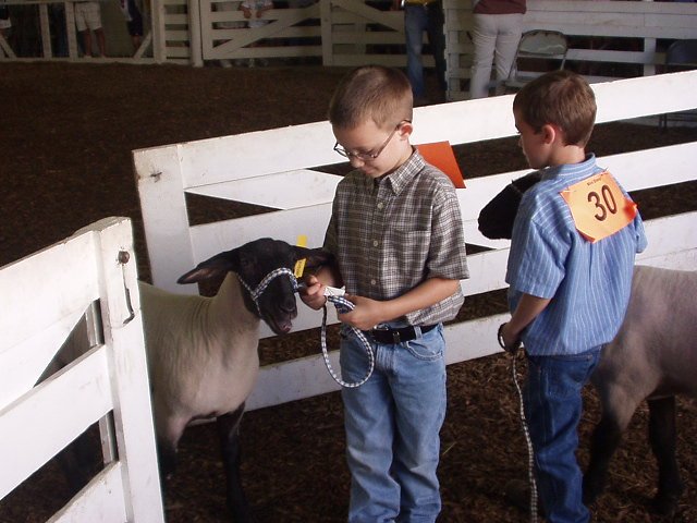 Rupert is ready for a drink. Timothy had to stop and check out his ribbon :)