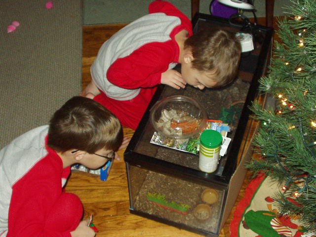 Where are the fish???