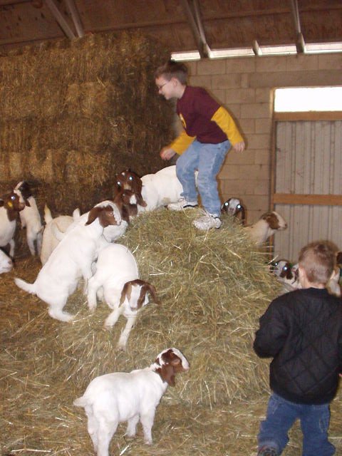 Then you leap for the one you want....