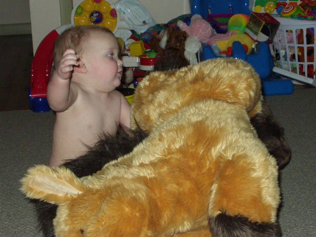 I shall tame this wild neighneigh!!