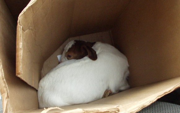 This lady is make'n me sick!!!