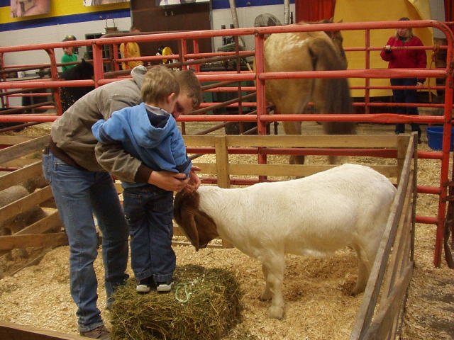 Uncle Bruce is trying to talk Elijah into going on a ride on the goat :) haha