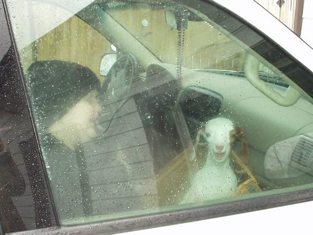 This picture made me laugh so hard...look at that smile :)