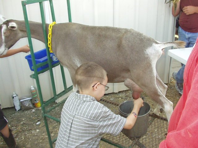 I think Timothy ended up milking a goat three times :) He was also the top salesman!!