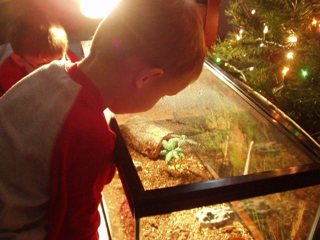 Wow! I love my new pet. I can't wait to feed him!