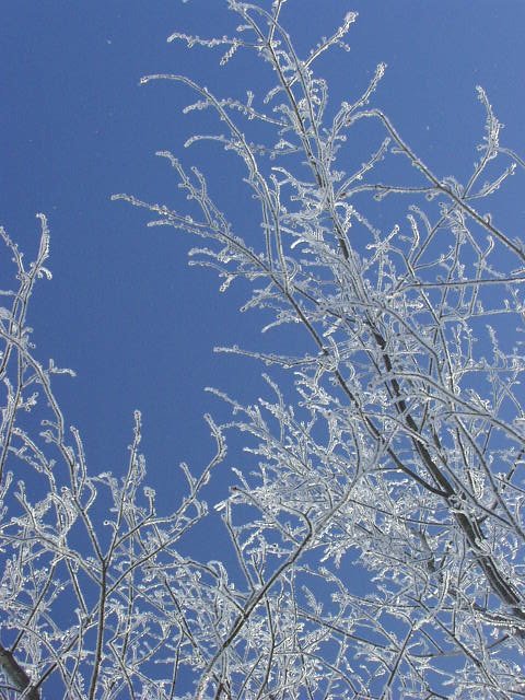 It was so beautiful out this morning!!