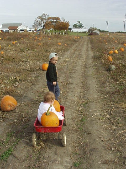 Hey why don't you get out of the wagon and walk Abigail?!?!?!