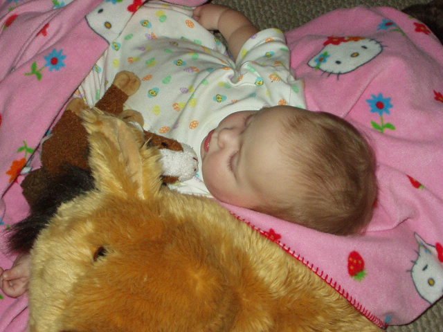 Little neighneigh had to give Abigail kisses :)