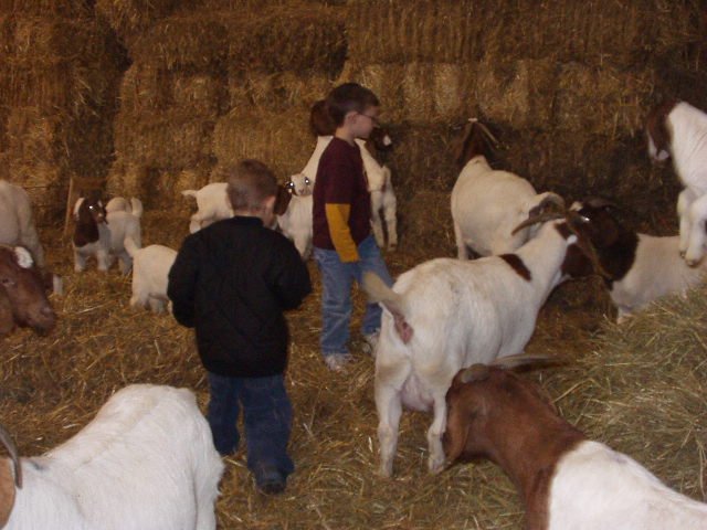 Then you look around for the right one.....