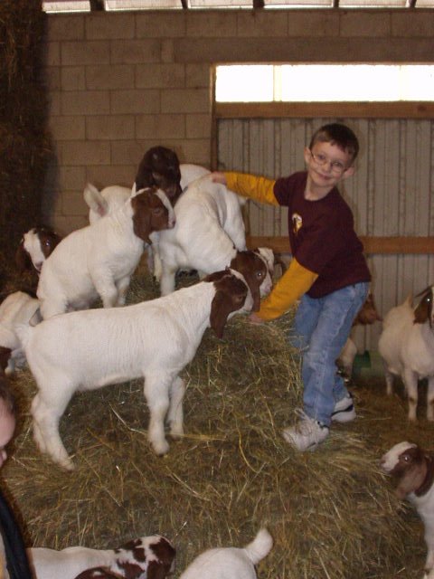 Sometimes you have to get a better view!