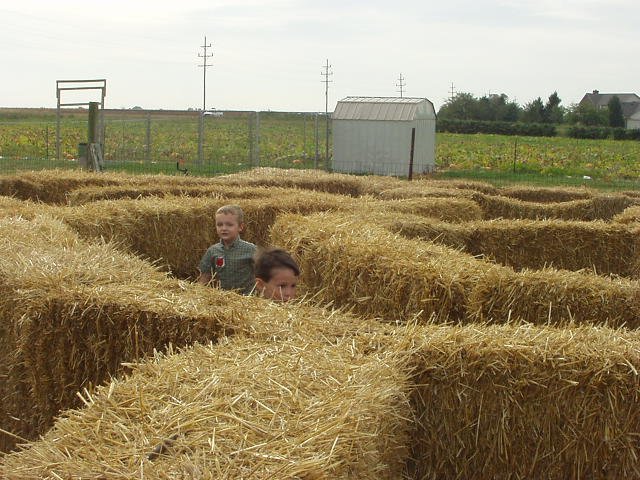 How do you get out of this thing??