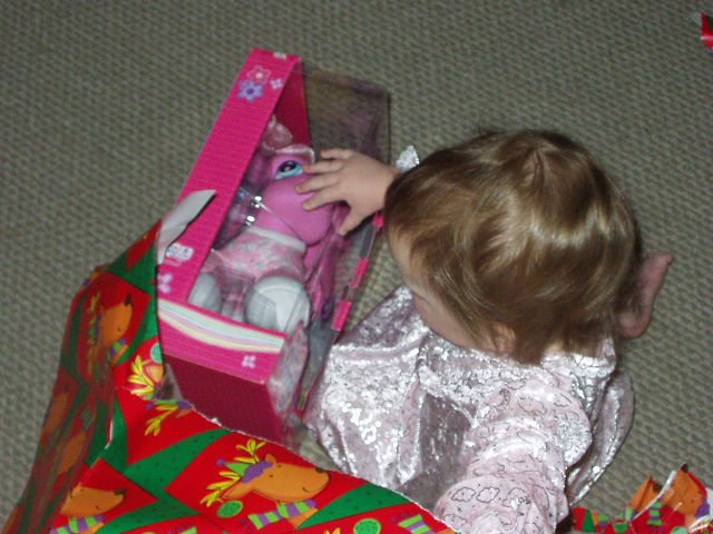 I have been wanting this 'My Little Pony' forever!!!