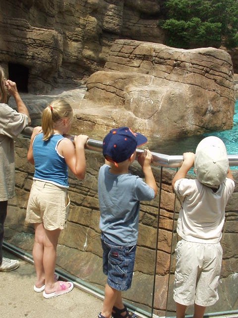 Can you see anything??