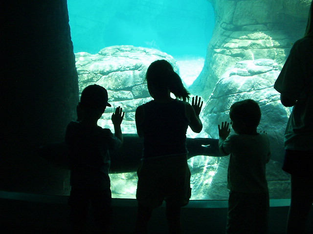 This is just a really cool picture :)