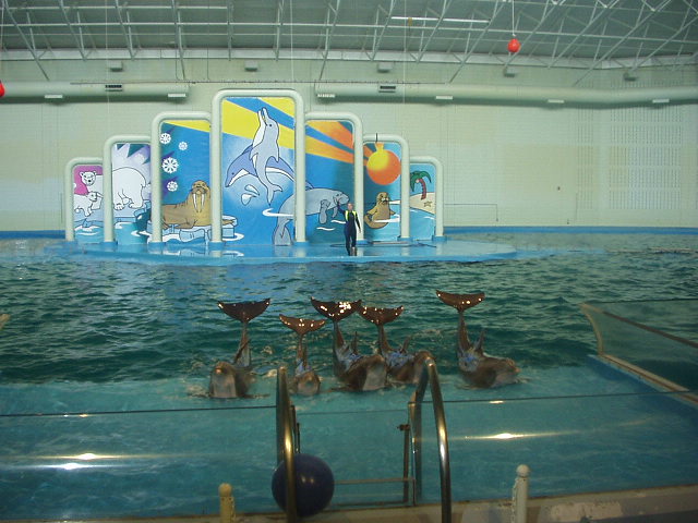 I can do that!!????!!