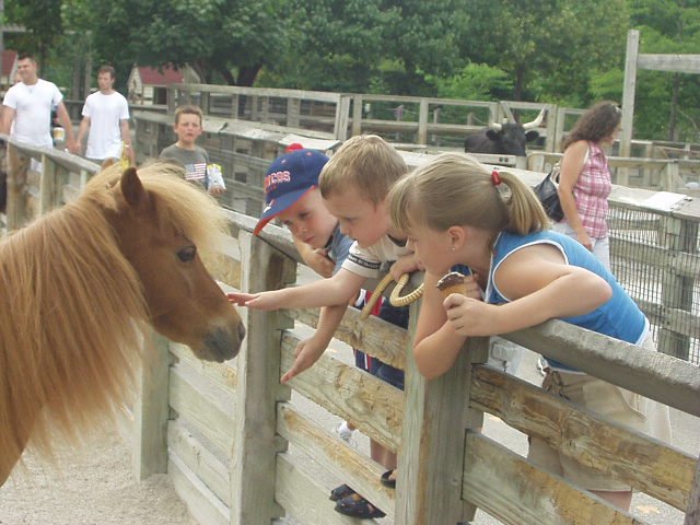 Reach out and touch someone (and hope they don't bite!!)