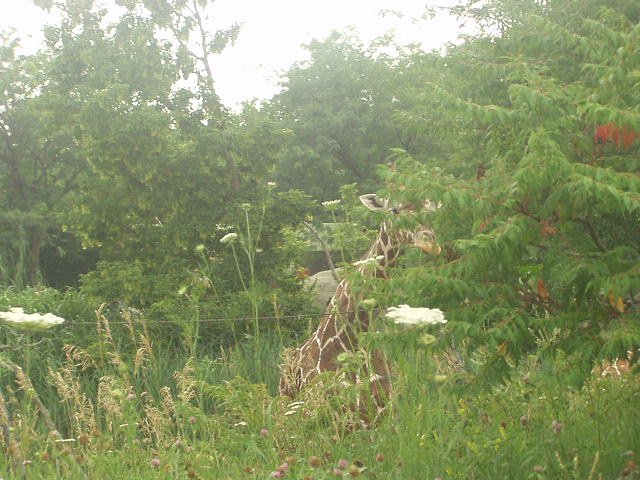 I know they can't see me!!!