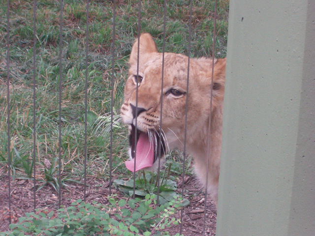 Those kids look yummy!!