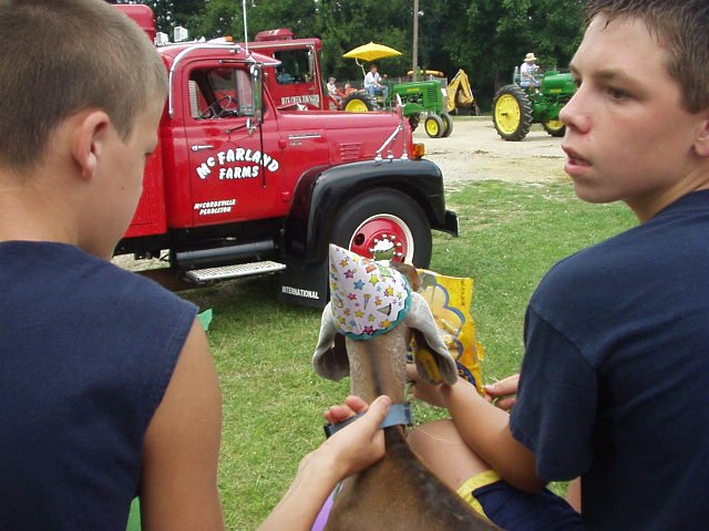 Even the little goat had a hat on :)