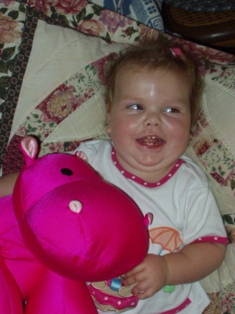 This pink hippo is really funny!!